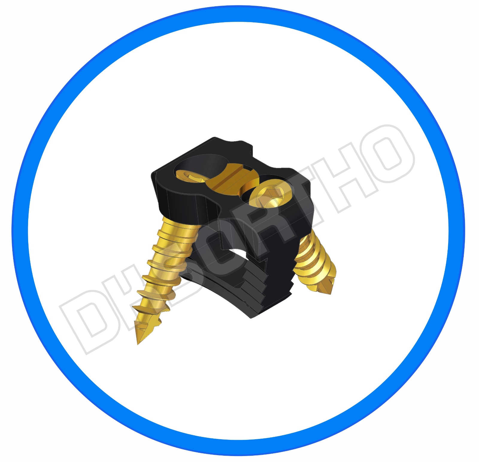 Cervical Cage With Plate